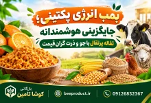 تفاله پرتقال دامی؛ منبع غنی انرژی و پکتین برای بهبود راندمان شیردهی و پرواربندی