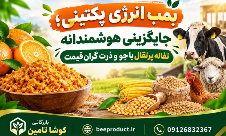 تفاله پرتقال دامی؛ منبع غنی انرژی و پکتین برای بهبود راندمان شیردهی و پرواربندی