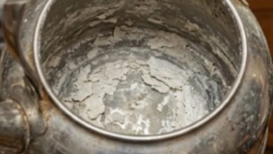 آنچه در کف استخر، داخل کتری و پشت پکیج شما پنهان است!
